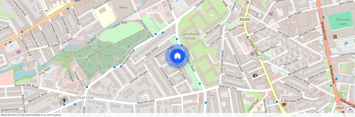 80 Langdon Street, S11 8BJ, Ecclesall