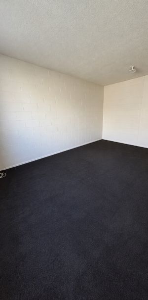 Two Bedroom Downstairs Unit - Claudelands - Photo 1