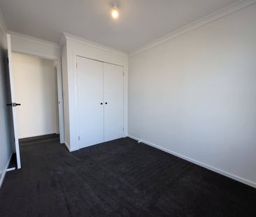 Modern Pet-Friendly Family Home - Photo 6