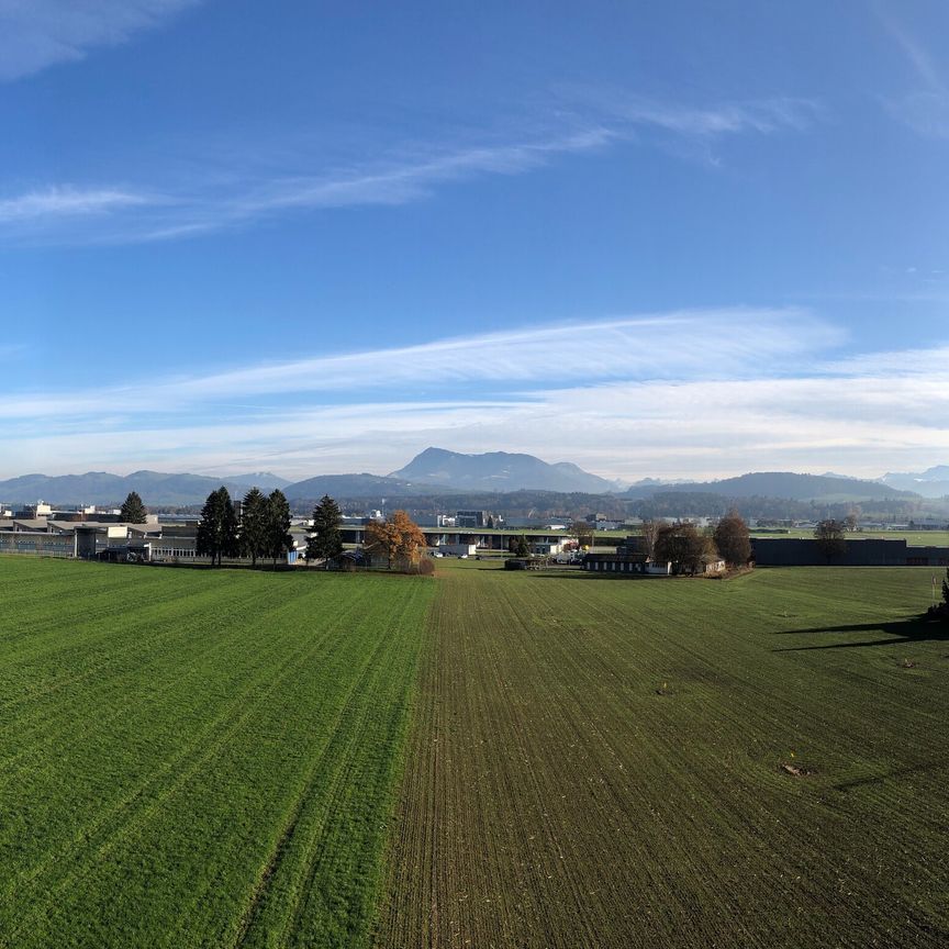 4.5 Zi-Attikawohnung mit Weitblick - Foto 1