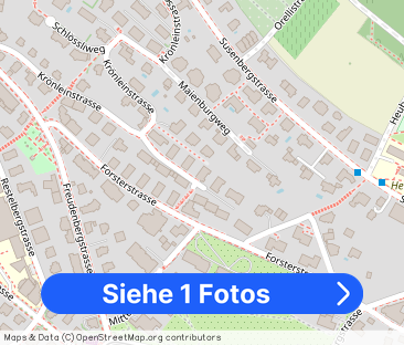 Exclusive apartment with a lot of privacy on the Zürichberg - Foto 1