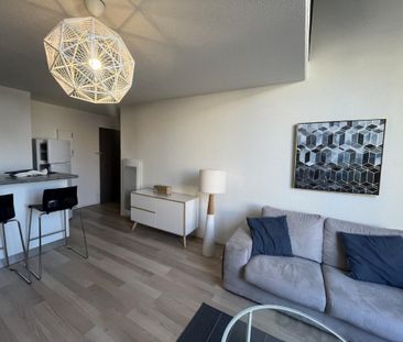 Location Appartement 1 pièce Meublé 41m² BORDEAUX 33000 - Photo 3