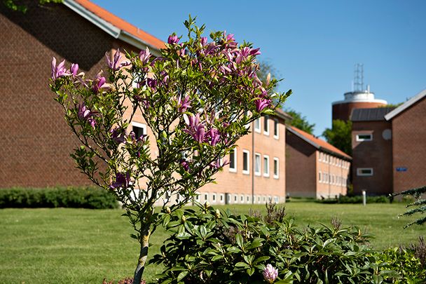 Tårnparken, Viborg - Photo 1