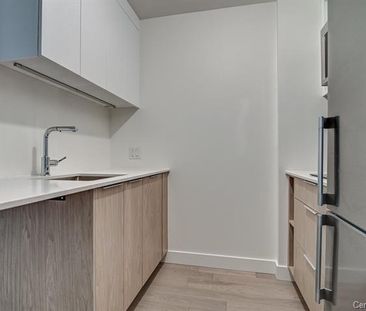 Appartement à louer - Montréal (Le Sud-Ouest) (Griffintown) Apparte... - Photo 3