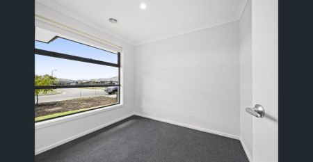 Stylish Miners Rest 4 Bedroom Home - Photo 2