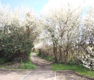 2 bedroom semi-detached house to rent - Photo 6