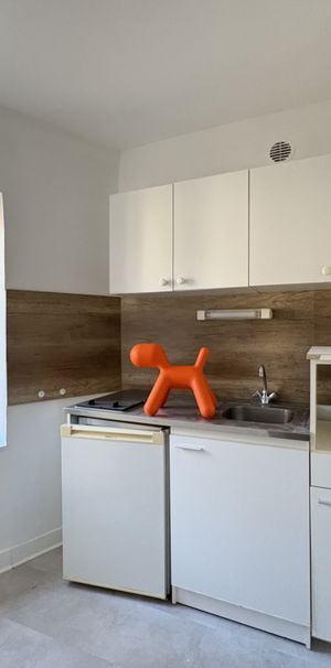 Location Appartement 1 pièce 20m² CLERMONT FERRAND 63000 - Photo 2