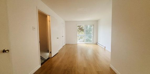 Appartement 4 ½ à louer Lévis juillet 2026 - Photo 2
