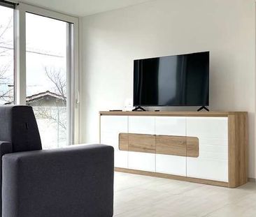 New apartment with roof garden also furnished - Foto 1