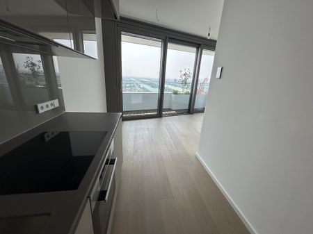 Atemberaubender Weitblick auf die Donau! 44.Stock! Erstbezug! - Photo 4