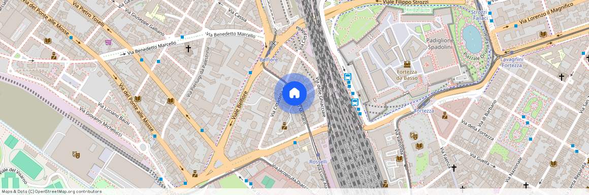 Via Guido Monaco, Centro Storico, Firenze, Firenze, Toscana