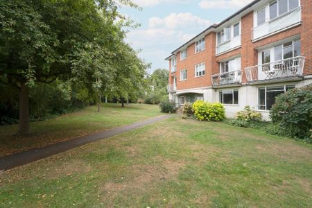 3 bedroom apartment to rent - Photo 4