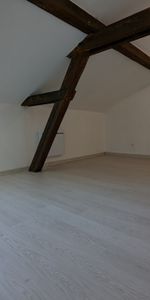 Location Appartement 2 pièces 44m² MULHOUSE 68100 - Photo 4