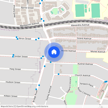 52 Moree Avenue, NSW 2145, Westmead