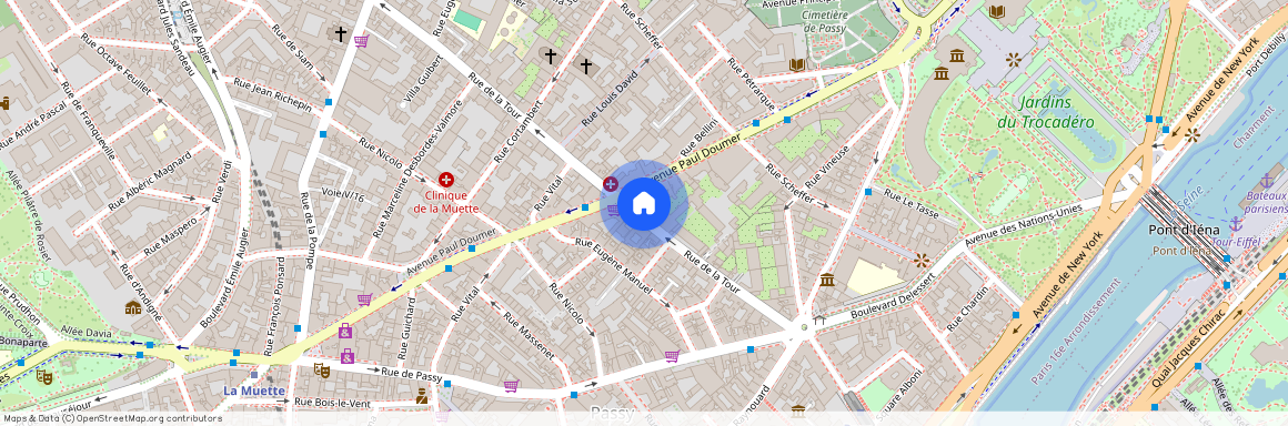 54 Rue de la Tour, 75116, Paris