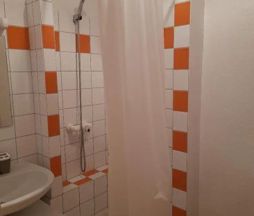 Appartement à louer 1 pièce 16.3m² - Photo 4