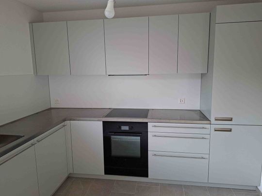 Zu vermieten im Grünen an der Glatt ist eine 3.5 Zimmer Wohnung mit 61 m2 - Foto 1