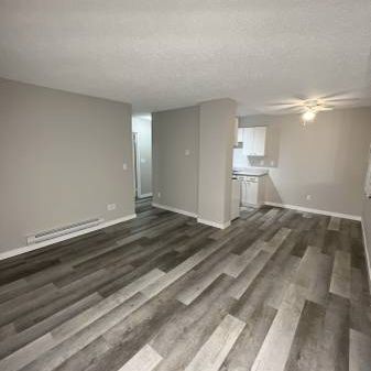 2 Bed 1 Bath unit available! - Photo 4