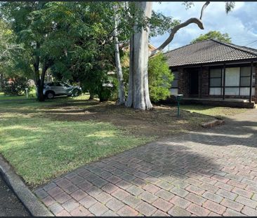 Large three bedroom home in the heart of Ingleburn - Photo 6