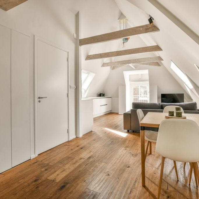 Pieter Cornelisz. Hooftstraat 44-3, P.C. Hooftbuurt, 1071BZ, Amsterdam - Foto 1