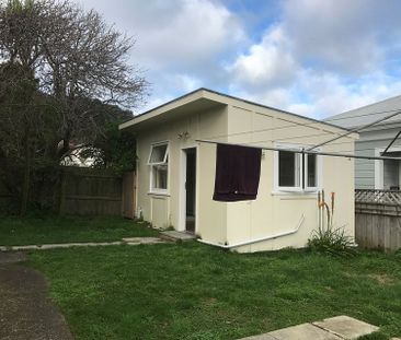 Large 1 bedroom house in Mt Vic - Photo 5