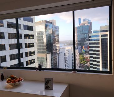 Sydney CBD - Photo 3