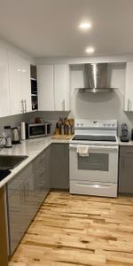 4.5 - BOIS FRANC-CERAMINQUE-ELECTROS-METRO CREMAZIE-JARRY-RENOVÉ-CONCEPT OUVERT-ÉCLAIRÉ-PLANCHER BOIS FRANC-TERRASSE - Photo 4