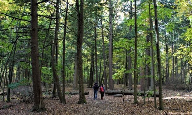 For Lease - 7439 Kinston Road Unit# 314, Toronto, Ontario - Photo 1