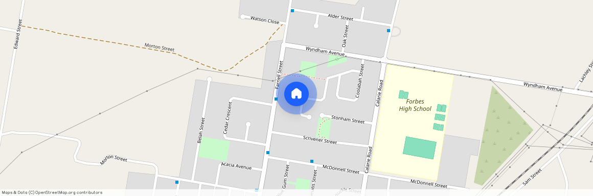 20 Jacaranda Street, NSW 2871, Forbes