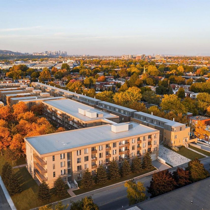 1-bedroom - 305 Rue Quilan, Montréal - Photo 2