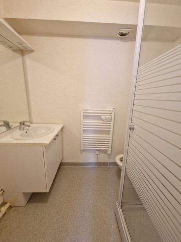 Location Appartement 2 pièces 24m² TOURS 37000 - Photo 5