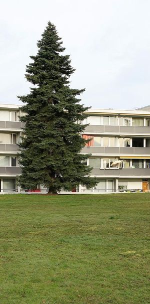 3 Zimmer, 46 m², 1. Stock - Photo 1