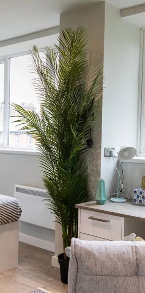 21 De Montfort Street Studios - Photo 1