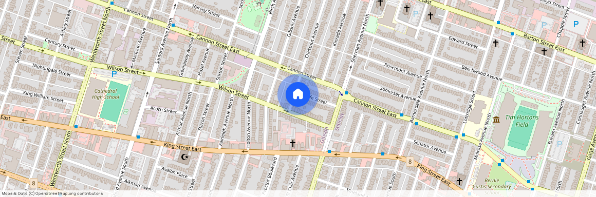 4 Fife Street, Hamilton