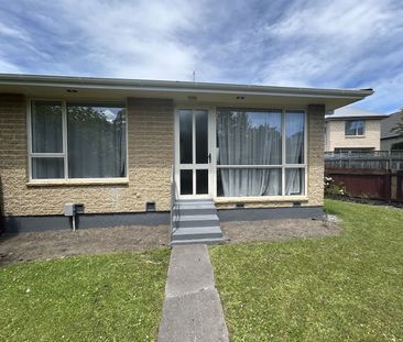 Newly Renovated Richmond Unit. - Photo 5