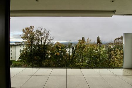 Appartement récent et lumineux de 2 pièces, avec vue et grande terrasse - Photo 4