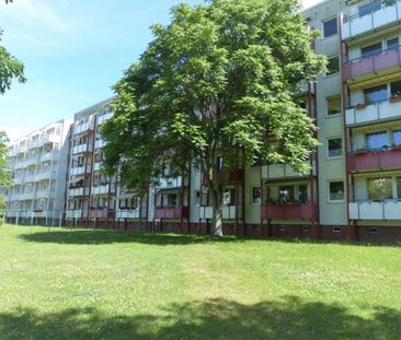 Senioren aufgepasst! Schöne 3 Raumwohnung im EG mit Dusche! - Photo 1