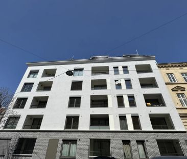 2-Zimmer Dachgeschosswohnung! Traum Terrasse/Loggia! Warmmiete! Pra... - Photo 2