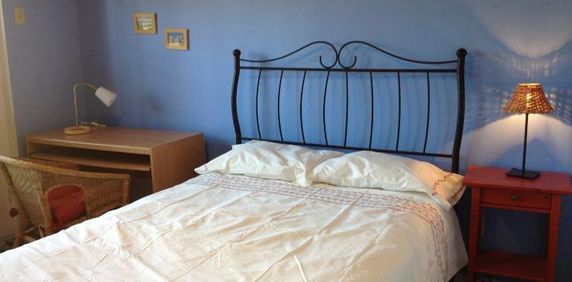3 1/2 - Montréal (Hochelaga / Maisonneuve) - 1 300 $/mois - Photo 2