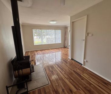 Catch of the Day - Photo 2