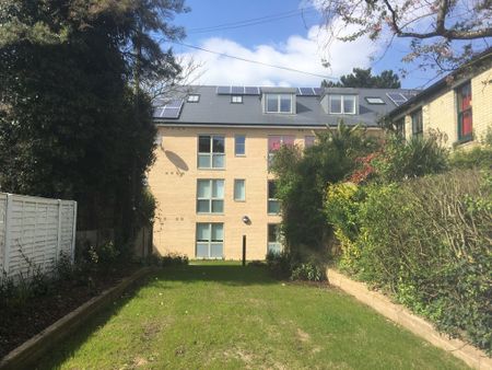 Primrose Lodge, Primrose Street, Cambridge - Photo 3
