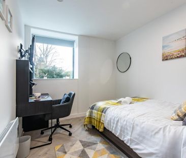 4 bedroom house share to rent - Photo 5