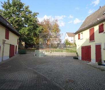 EFH im modernisierten historischen 3-Seiten-Bauernhof nahe Gera - Foto 4