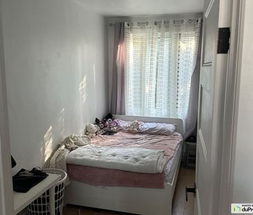 7238, Boulervard Pie-IX, Rosemont / La Petite Patrie à louer - Photo 3