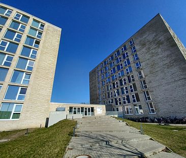 Alle Kosten inklusive! Moderne Mikroapartments für Studenten - Rollstuhlgerecht - Photo 2