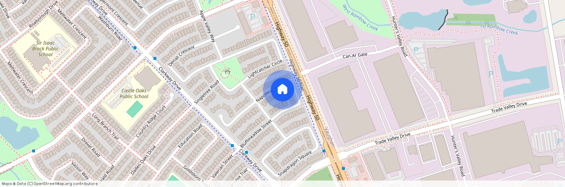 29 Napoleon Crescent, Brampton