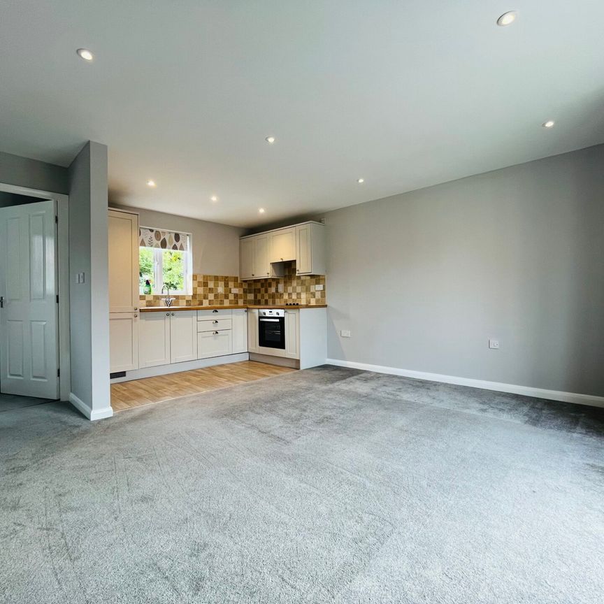 Westminster Avenue - Photo 1