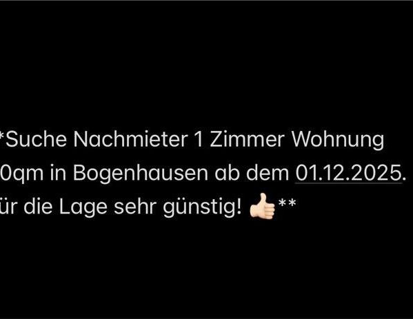 Nachmieter gesucht 1-Zimmer Wohnung ab 01.12.2025 - Photo 1