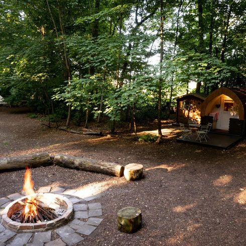 Hollington Park Glamping - Photo 1