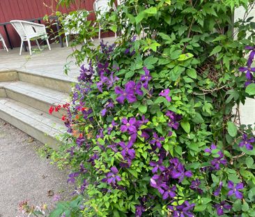 Gerstorp Tjärarp, Linköping - Photo 4